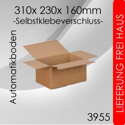 320x Automatikkarton EA17 - 310x 230x 160mm 