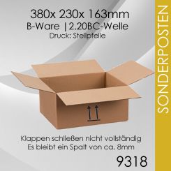 REST 110x Faltkarton 2-wellig 9318 - 380x 230x 163mm 