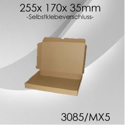 100x Maxibrief Gr. 5 - 255x 170x 35mm - selbstklebend 