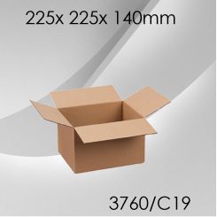 50x Faltkarton C19 - 225x 225x 140mm 