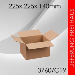 1.750x Faltkarton C19 - 225x 225x 140mm 