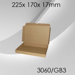 100x Großbriefkarton Gr. 3 - 225x 170x 17mm 