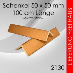 Kantenschutzwinkel 1000x 50x 50mm 