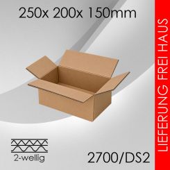 1.200x Faltkarton 2-wellig DS2 - 250x 200x 150mm 
