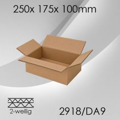 60x Faltkarton 2-wellig DA9 - 250x 175x 100mm 