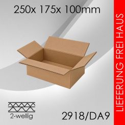 1.600x Faltkarton 2-wellig DA9 - 250x 175x 100mm 