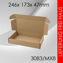 900x Maxibrief Gr. 8 - 246x 173x 47mm 