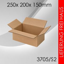 200x Faltkarton S2 - 250x 200x 150mm 
