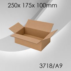 50x Faltkarton A9 - 250x 175x 100mm 