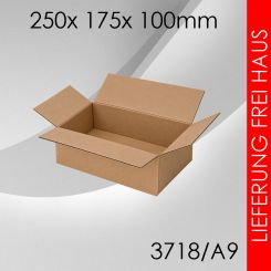 600x Faltkarton A9 - 250x 175x 100mm 