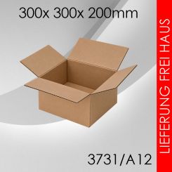 100x Faltkarton A12 - 300x 300x 200mm 