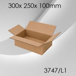 50x Faltkarton L1 - 300x 250x 100mm 