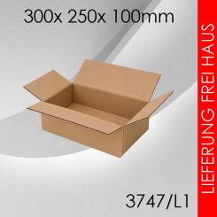 1.750x Faltkarton L1 - 300x 250x 100mm 