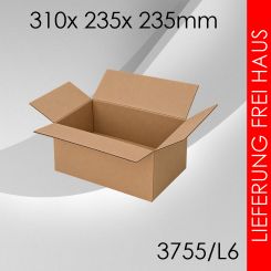 700x Faltkarton L6 - 310x 235x 235mm 