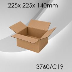 50x Faltkarton C19 - 225x 225x 140mm 