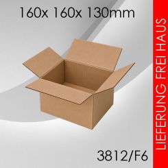 350x Faltkarton F6 - 160x 160x 130mm 