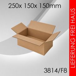 200x Faltkarton F8 - 250x 150x 150mm 