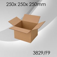 50x Faltkarton F9 - 250x 250x 250mm 