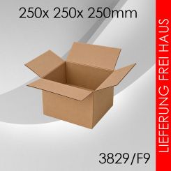 125x Faltkarton F9 - 250x 250x 250mm 