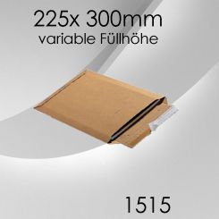 100x Wellpappversandtasche 1515 - 225x 300mm 