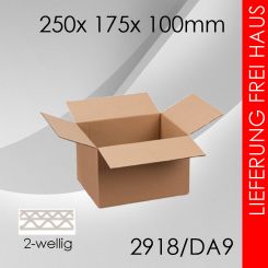 1.600x Faltkarton 2-wellig DA9 - 250x 175x 100mm 