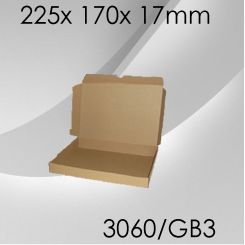 100x Großbriefkarton Gr. 3 - 225x 170x 17mm 
