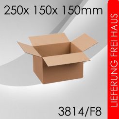 600x Faltkarton F8 - 250x 150x 150mm 