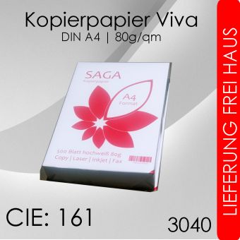120.000 Blatt Saga Viva Kopierpapier A4 - 80g 