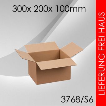 200x Faltkarton S6 - 300x 200x 100mm 