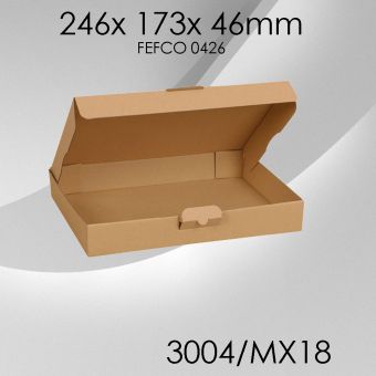 100x Maxibrief Gr. 18 - 246x 173x 46mm 