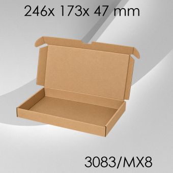 100x Maxibrief Gr. 8 - 246x 173x 47mm 