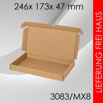 900x Maxibrief Gr. 8 - 246x 173x 47mm 