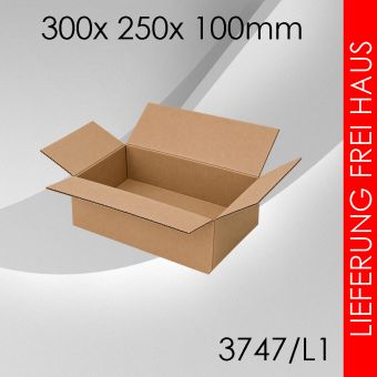 150x Faltkarton L1 - 300x 250x 100mm 
