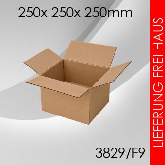 375x Faltkarton F9 - 250x 250x 250mm 