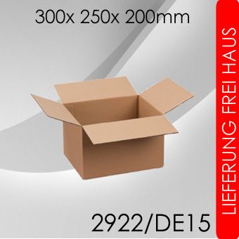 225x Faltkarton 2-wellig DE15 - 300x 250x 200mm 