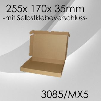 100x Maxibrief Gr. 5 - 255x 170x 35mm - selbstklebend 