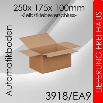 180x Automatikkarton EA9 - 250x 175x 100mm 