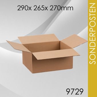 SoPo 210x Faltkarton - 290x 265x 270mm 